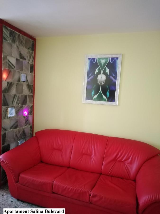 Apartament Salina Bulevard ألبا يوليا المظهر الخارجي الصورة
