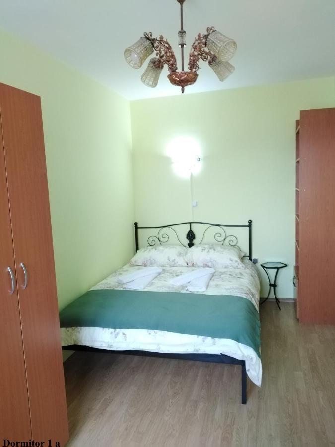 Apartament Salina Bulevard ألبا يوليا المظهر الخارجي الصورة