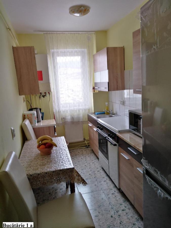Apartament Salina Bulevard ألبا يوليا المظهر الخارجي الصورة