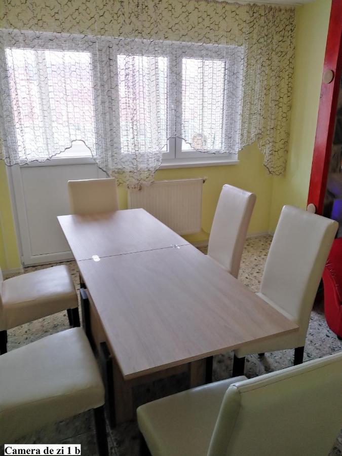 Apartament Salina Bulevard ألبا يوليا المظهر الخارجي الصورة