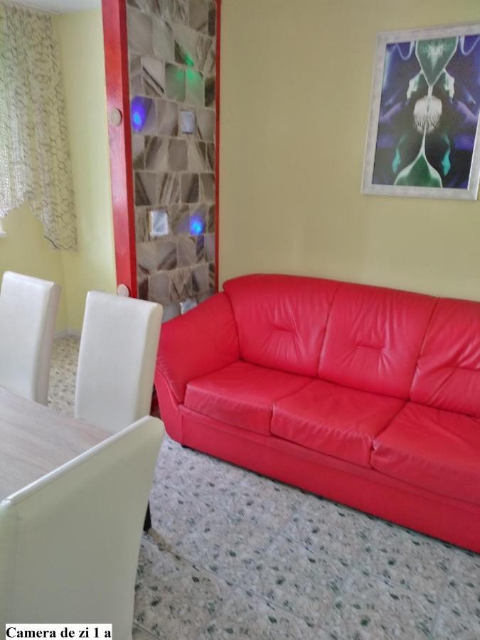 Apartament Salina Bulevard ألبا يوليا المظهر الخارجي الصورة