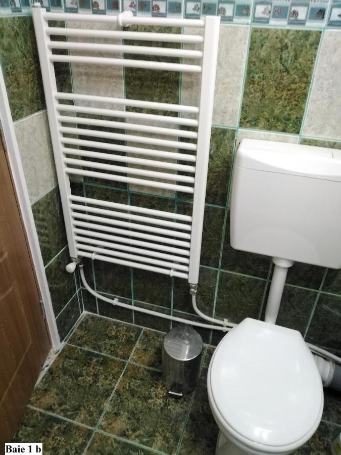 Apartament Salina Bulevard ألبا يوليا المظهر الخارجي الصورة