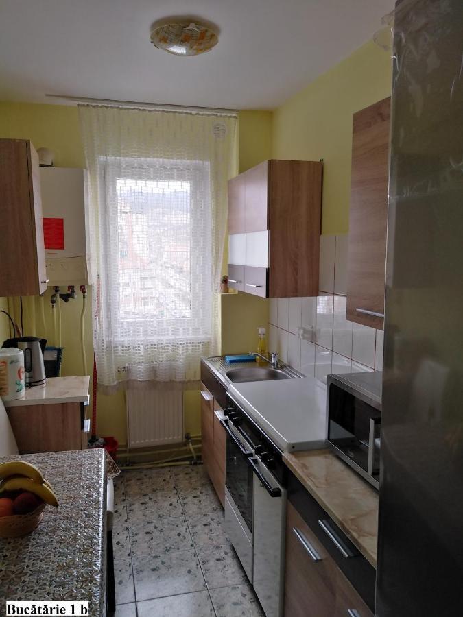 Apartament Salina Bulevard ألبا يوليا المظهر الخارجي الصورة