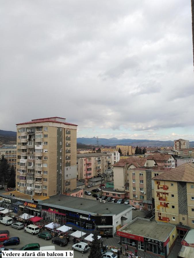 Apartament Salina Bulevard ألبا يوليا المظهر الخارجي الصورة